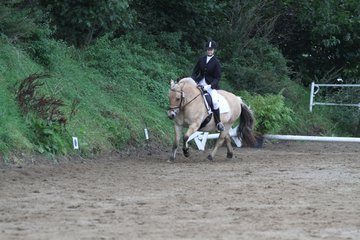 Bild 410 - WBO-Turnier am 18.9.11
